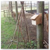 0663-e1366123484396-768x1024